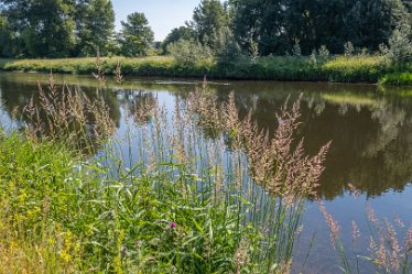 F21_3618r1 23rd June 2021: Branston Leas Nature Reserve: © Paul L.G. Morris