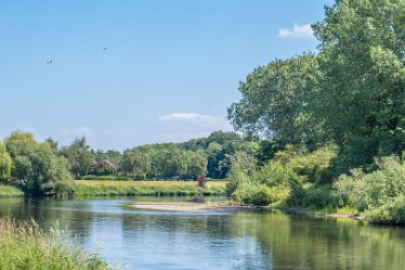 F21_3798r1 23rd June 2021: Branston Leas Nature Reserve: © Paul L.G. Morris