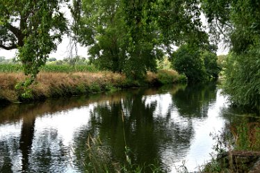 MR-DSH_1957_3009 River Tame Elford and River Tame: August: © 2022 Martin Robinson