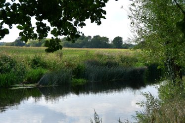 MR-DSH_2053_3021 Elford and River Tame: August: © 2022 Martin Robinson