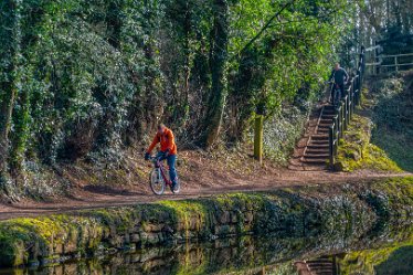 sunlit cyclej1 28th February 2021: © 2021 Roisin Chambers: Canal at Armitage