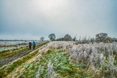 Steve_C_DSC_9878j1 Winter At Tuckelsholme Nature Reserve: January 2021: © Steven Cheshire