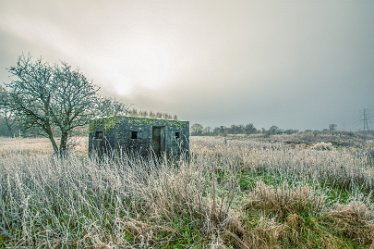 Steve_C_DSC_9886j1 Winter At Tuckelsholme Nature Reserve: January 2021: © Steven Cheshire