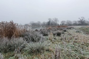 Steve_C_wai_2021-01-07 at 18.46.09 (2) Winter At Tuckelsholme Nature Reserve: January 2021: © Steven Cheshire