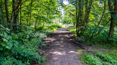 Hem-Heath-NR-PLGM-F24_8529r1 30th July 2024: Hem Heath Nature Reserve: © 2024 Paul L.G. Morris
