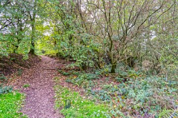 Park-Hall-CP-PLGM-H25_8812r1 6th October 2025: Park Hall Country Park: © 2025 Paul L.G. Morris: