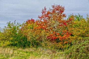 Park-Hall-CP-PLGM-H25_8821r1 6th October 2025: Park Hall Country Park: © 2025 Paul L.G. Morris: