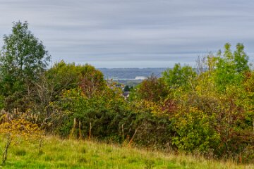 Park-Hall-CP-PLGM-H25_8824r1 6th October 2025: Park Hall Country Park: © 2025 Paul L.G. Morris: