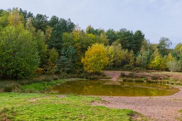 Park Hall C.P. October 2025 Visit 2