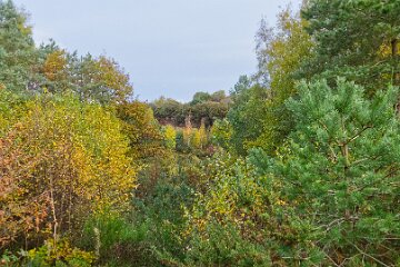 Park-Hall-CP-PLGM-F25_3863r1 30th October 2025: Park Hall Country Park: © 2025 Paul L.G. Morris: Hulme quarry