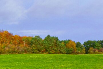 Park-Hall-CP-PLGM-F25_3878x2j1 30th October 2025: Park Hall Country Park: © 2025 Paul L.G. Morris: Panoramic view