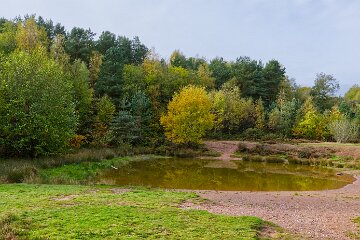Park-Hall-CP-PLGM-F25_3938r1 30th October 2025: Park Hall Country Park: © 2025 Paul L.G. Morris: Top pool