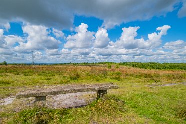 July 2024: Wetley Moor Nature Reserve
