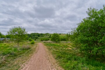 whitfield-valley-and-chatterley-PLGM-H25_3919r1 22nd May 2025: Chatterley Whitfield Colliery: © 2025 Paul L.G. Morris: View to the spoil heap now a hill