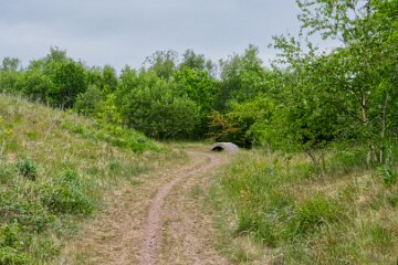 whitfield-valley-and-chatterley-PLGM-H25_4015r1 22nd May 2025: Chatterley Whitfield Colliery: © 2025 Paul L.G. Morris: View from the spoil heap