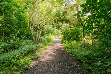 Hartshill-Park-PLGM-F25_1464r1 8th July 2025: Hartshill Park: © 2025 Paul L.G. Morris