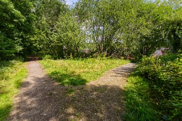 Hartshill-Park-PLGM-F25_1467r1 8th July 2025: Hartshill Park: © 2025 Paul L.G. Morris