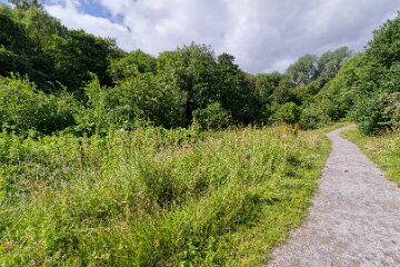 Hartshill-Park-PLGM-F25_1473r1 8th July 2025: Hartshill Park: © 2025 Paul L.G. Morris