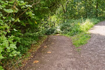 Hartshill-Park-PLGM-F25_1506r1 8th July 2025: Hartshill Park: © 2025 Paul L.G. Morris