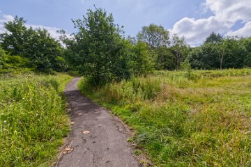 Hartshill-Park-PLGM-F25_1524r1 8th July 2025: Hartshill Park: © 2025 Paul L.G. Morris