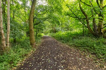 Hartshill-Park-PLGM-F25_1536r1 8th July 2025: Hartshill Park: © 2025 Paul L.G. Morris