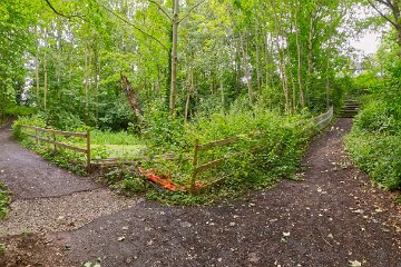 Hartshill-Park-PLGM-F25_1542r1x2j1 8th July 2025: Hartshill Park: © 2025 Paul L.G. Morris