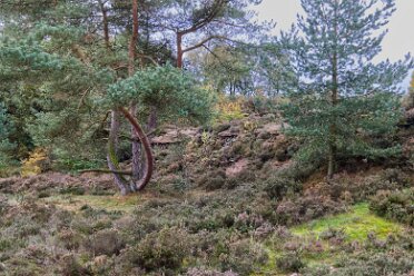 Park Hall Country Park Visit 2