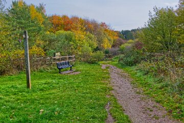 Park-Hall-CP-PLGM-F25_3854r1 30th October 2025: Park Hall Country Park: © 2025 Paul L.G. Morris: bench seat