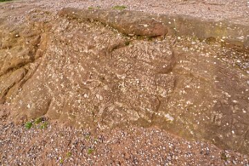 Park-Hall-CP-PLGM-F25_3944r1 30th October 2025: Park Hall Country Park: © 2025 Paul L.G. Morris: Rock strata near Top Pool