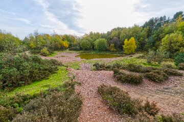 Park-Hall-CP-PLGM-F25_3950r1 30th October 2025: Park Hall Country Park: © 2025 Paul L.G. Morris: Top Pool