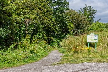 Hartshill Park 8th July 2025: Hartshill Park: © 2025 Paul L.G. Morris