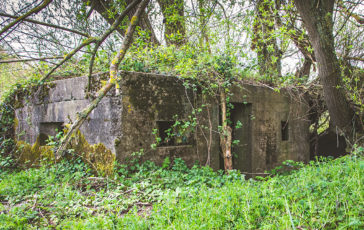 A Type 24 Pillbox, overgrown and partially hidden from view near the River Trent at Branston Leas. Photo © 2022 Clive Ward Transforming the Trent Valley Volunteer.