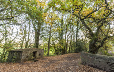 A Type 24 Pillbox next to the Birmingham and Fazeley Canal near Hopwas. Photo © 2022 Transforming the Trent Valley (Steven Cheshire).