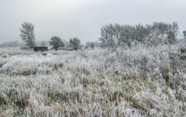 A Type 24 Pillbox at Staffordshire Wildlife Trust's Tucklesholme Nature Reserve near Walton-on-Trent, Staffordshire. Photo © 2022 Transforming the Trent Valley (Steven Cheshire).