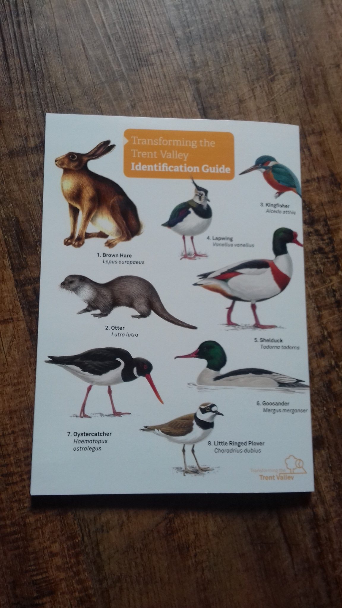 A leaflet with a number of birds shown on the front