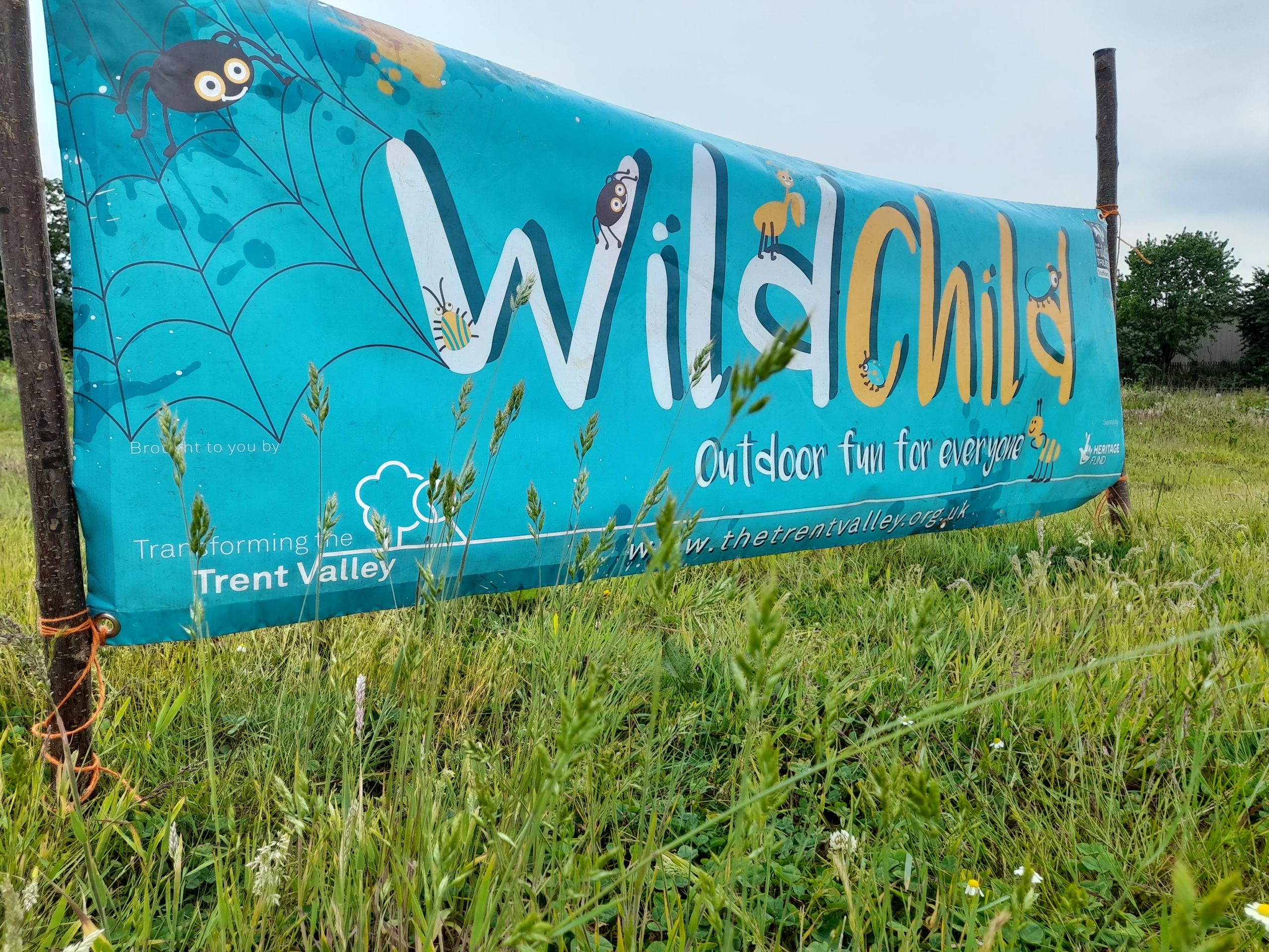 Blue Wildchild Banner