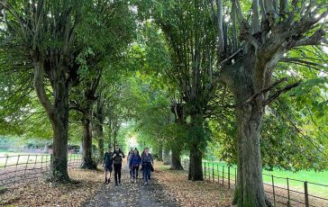 Newton Solney footpath