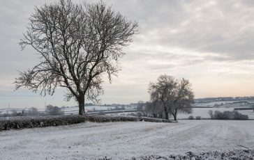 Snow at Winshill - Dave Cowper