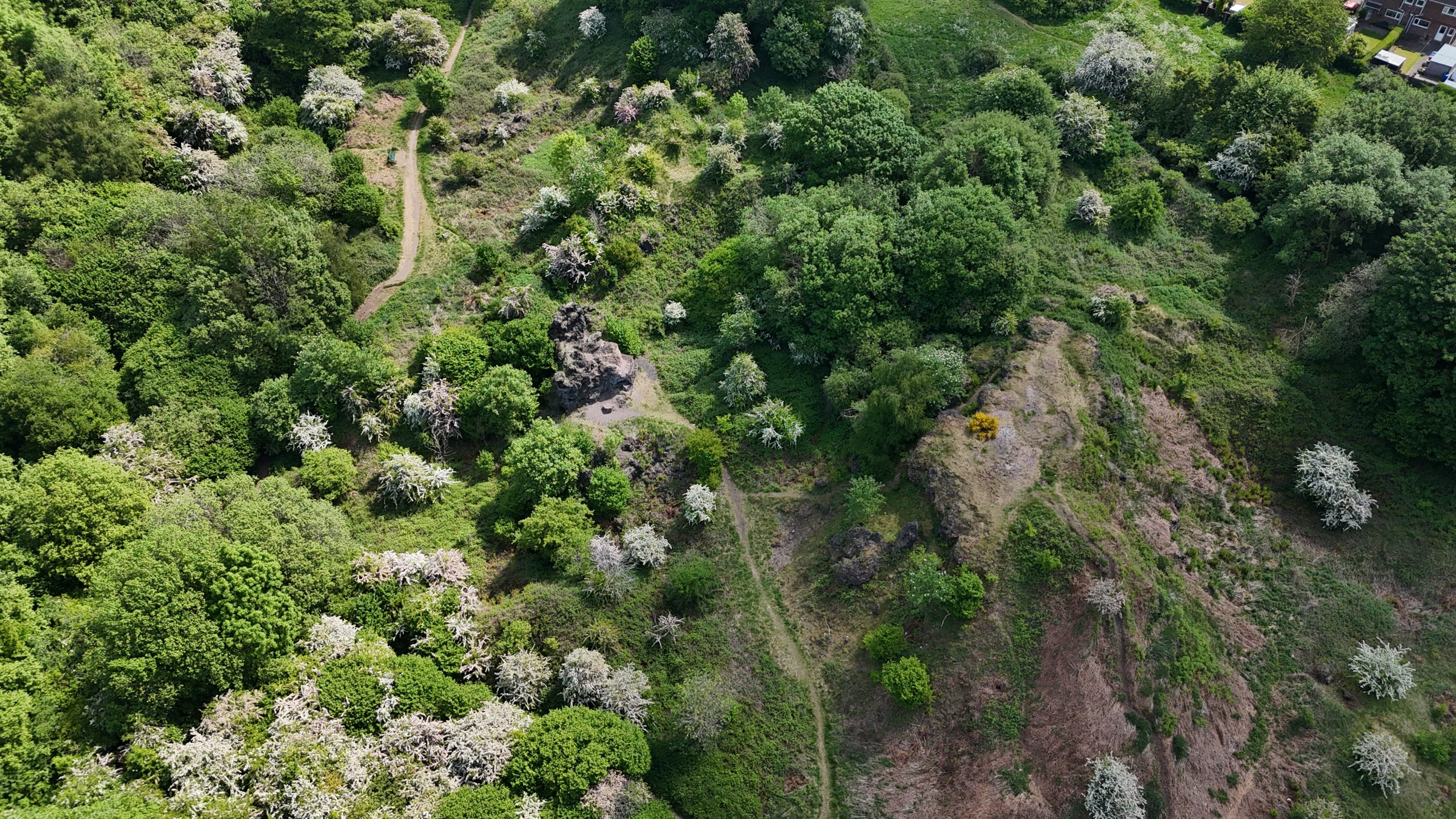 Aerial image of the Cockster Brook Valley in Stoke-on-Trent showing mosaic habitats