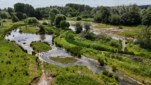 New wetlands in Rugeley Riverside Park